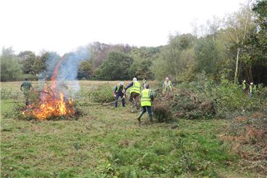 Clearing the meadow - Winter Work